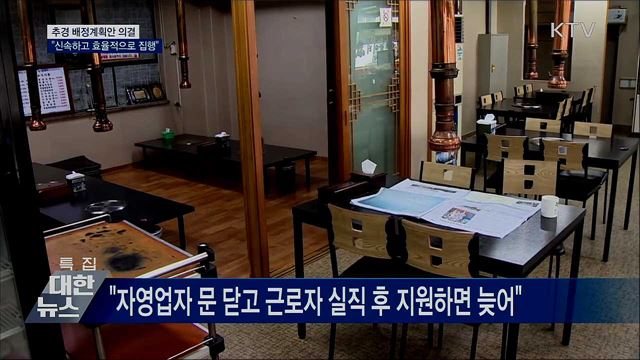 추경 배정계획안 의결···"신속하고 효율적으로 집행"