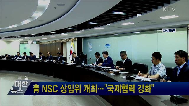 靑 NSC 상임위 개최···"국제협력 강화"