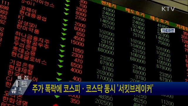 주가 폭락에 코스피·코스닥 동시 '서킷브레이커'