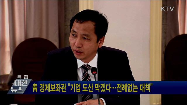 靑 경제보좌관 "기업 도산 막겠다···전례없는 대책"