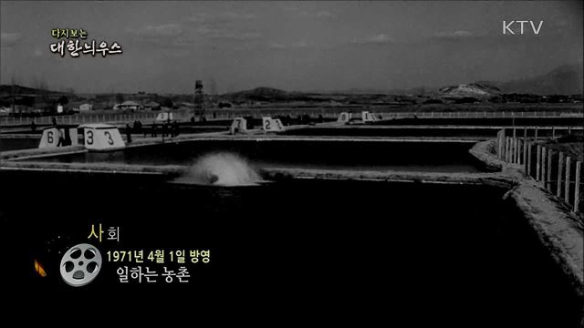 다시보는 대한늬우스 (71. 4. 1)