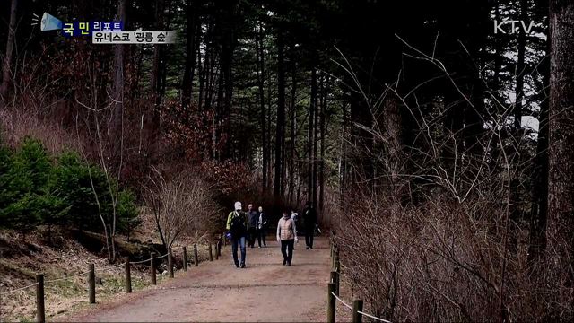 유네스코 등재 10년 광릉 숲···명품 숲길로 만든다