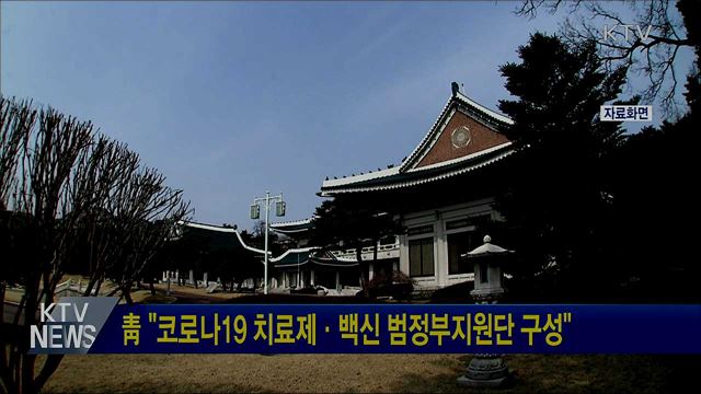 靑 "코로나19 치료제·백신 범정부지원단 구성"