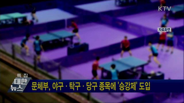 문체부, 야구·탁구·당구 종목에 '승강제' 도입