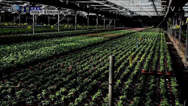 고양 꽃 박람회 연기···꽃 소비 운동으로 화훼농민 응원