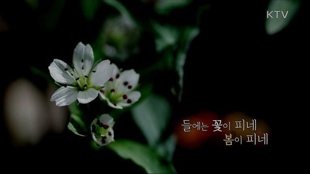 계절이 빚어낸 땅 아름다운 철원