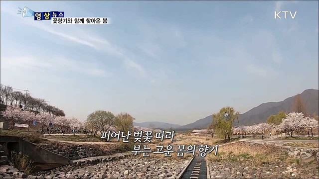 꽃향기와 함께 찾아온 봄 [한국의 美]