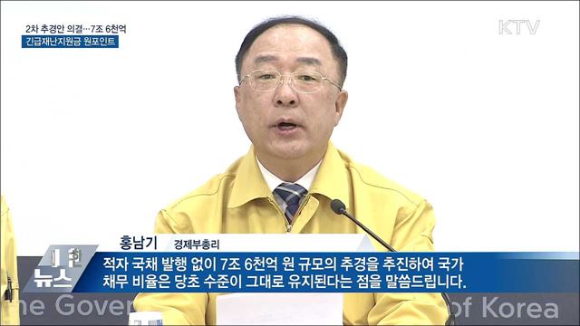 2차 추경안 '긴급재난지원금' 임시국무회의 의결