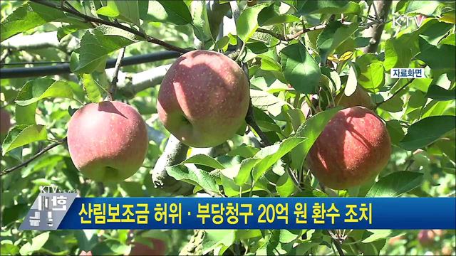 산림보조금 허위·부당청구 20억원 환수 조치