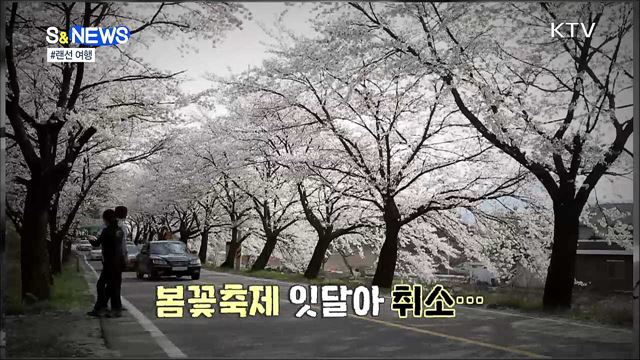 봄나들이 대신 '랜선 여행' 떠나요 [S&News]