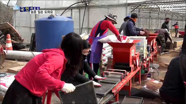 코로나19에 부족한 농촌 일손 도와요