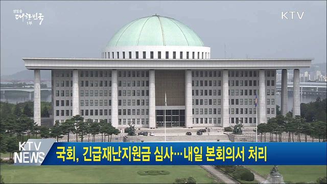 국회, 긴급재난지원금 심사···내일 본회의서 처리