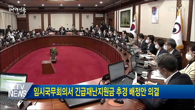 임시국무회의서 긴급재난지원금 추경 배정안 의결