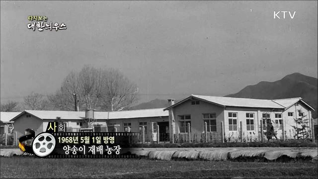 다시보는 대한늬우스 (68. 5. 1)