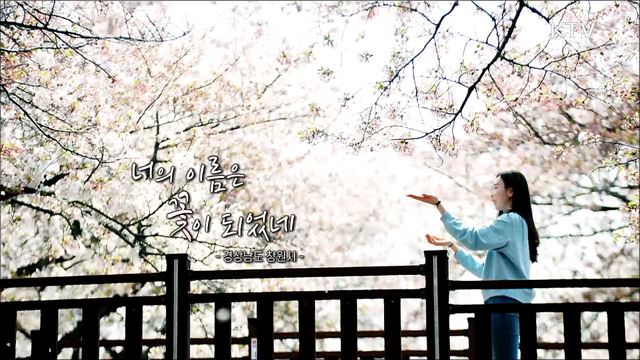 너의 이름은 꽃이 되었네 경상남도 창원시