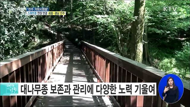 코로나19 극복 힐링 숲 체험, ‘진주 가좌시험림’