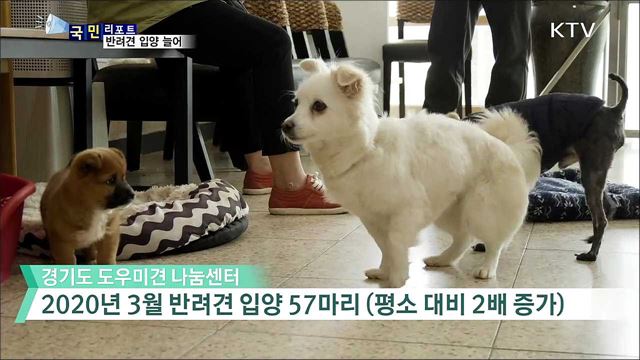 코로나19 우울감 극복···반려동물 입양 급증
