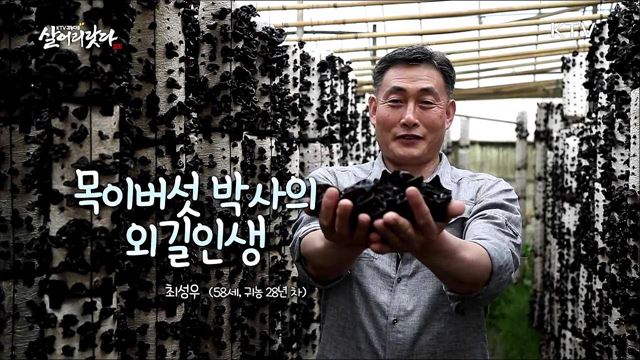 목이버섯 외길 인생 최 박사