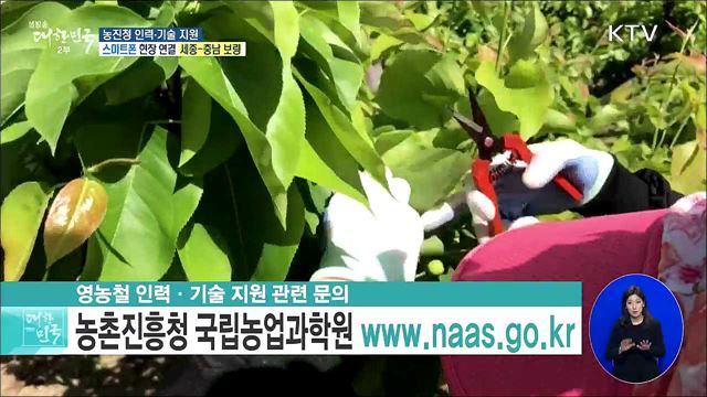 코로나19 극복 일손 부종 농가 지원, 농진청 인력·기술 지원