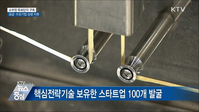 "소부장 특화단지 지정할 것"···스타트업 100개 육성