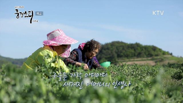 12 예고 미리보기 - 남도 풍류의 맛과 멋, 전남진도