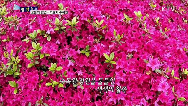 꽃들의 향연···벽초지 수목원