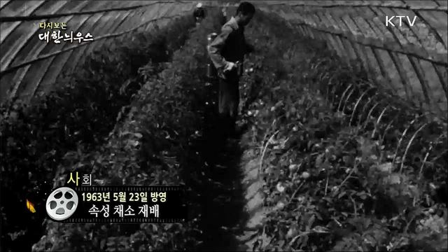 다시보는 대한늬우스 (63. 5. 23)