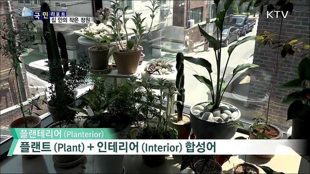 집 안에 생기 불어넣어요···'플랜테리어' 인기