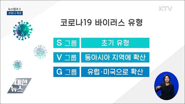 코로나 족보 [뉴스링크]