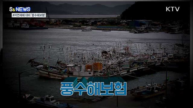 자연재해 보상하는 풍수해보험 [S&News]