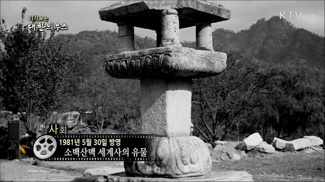다시보는 대한늬우스 (81. 5. 30)