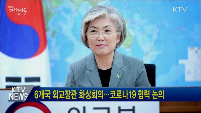 6개국 외교장관 화상회의···코로나19 협력 논의
