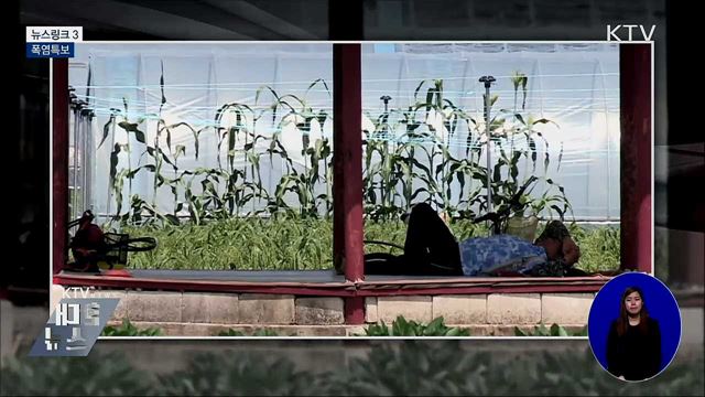 폭염특보 [뉴스링크]