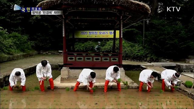 창덕궁서 손 모내기···조선 시대 '친경례' 재현