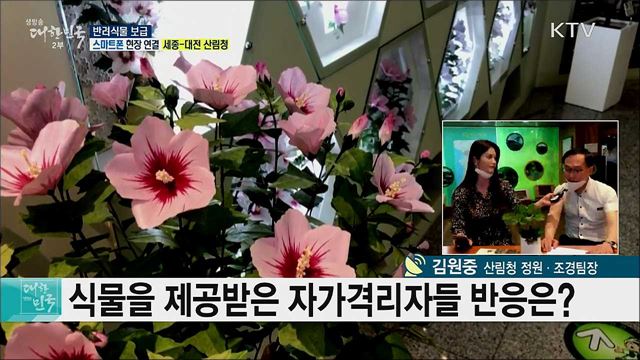 코로나19 재난심리회복지원, 반려식물 보급