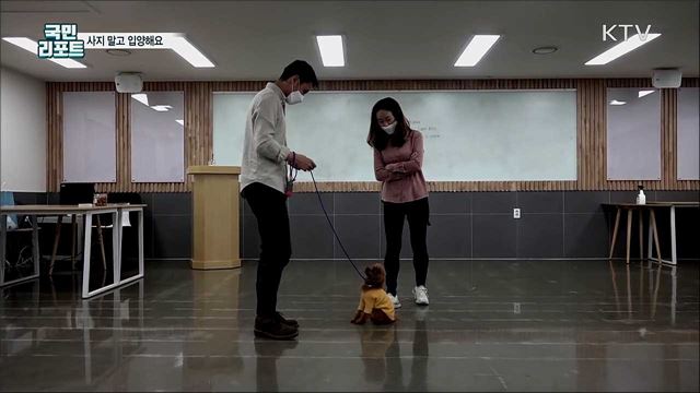 반려동물 똑똑한 입양 도와드립니다