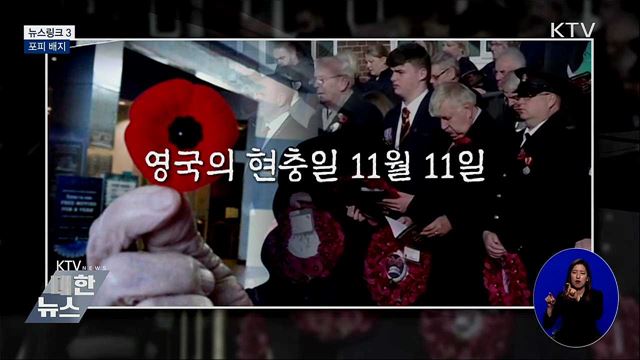 포피 배지 [뉴스링크]