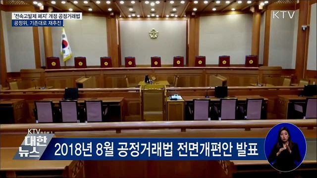 '전속고발제 폐지' 개정 공정거래법, 기존대로 재추진