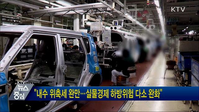 "내수 위축세 완만···실물경제 하방위험 다소 완화"