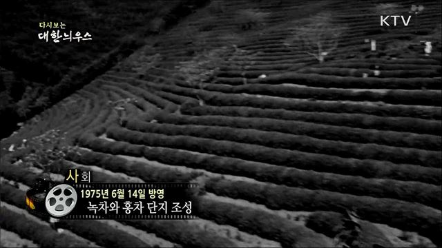 다시보는 대한늬우스 (75. 6. 14)