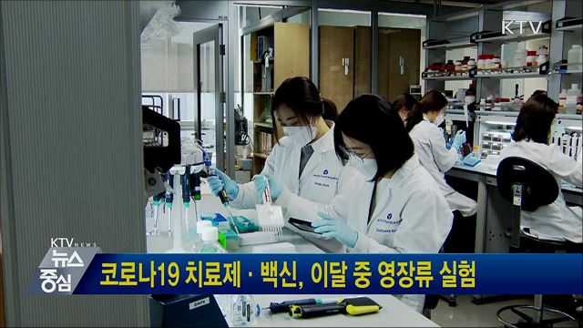 코로나19 치료제·백신, 이달 중 영장류 실험