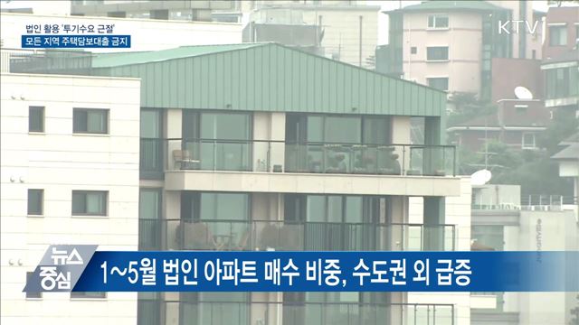 법인, 주택담보대출 금지·종부세율 인상