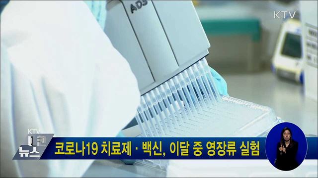 코로나19 치료제·백신, 이달 중 영장류 실험