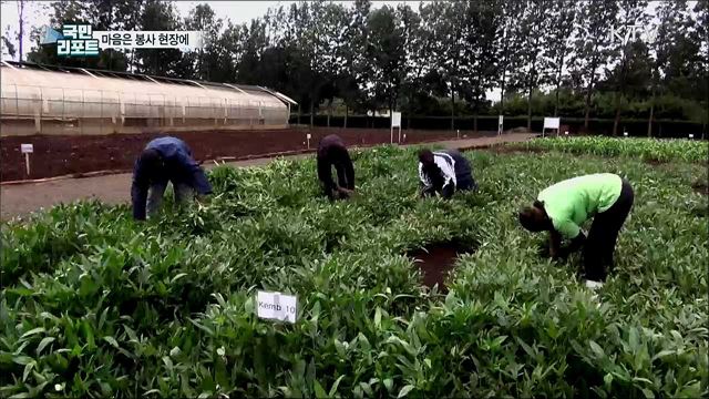 "다시 돌아가겠다"···코로나19에 코이카 해외봉사단 귀국