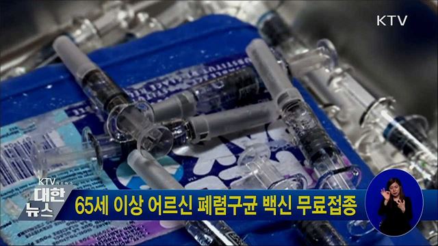 65세 이상 어르신 폐렴구균 백신 무료접종