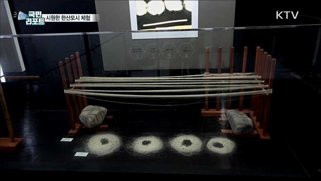 "아~ 시원하다!" 한산 모시에 푹 빠져