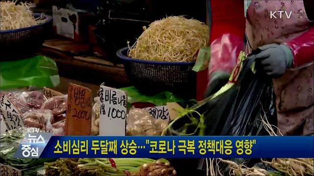 소비심리 두달째 상승···"코로나 극복 정책대응 영향"