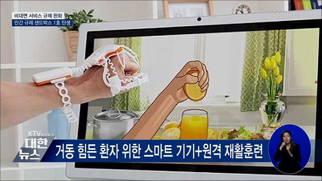 규제 샌드박스, 비대면 서비스 확산 이끈다