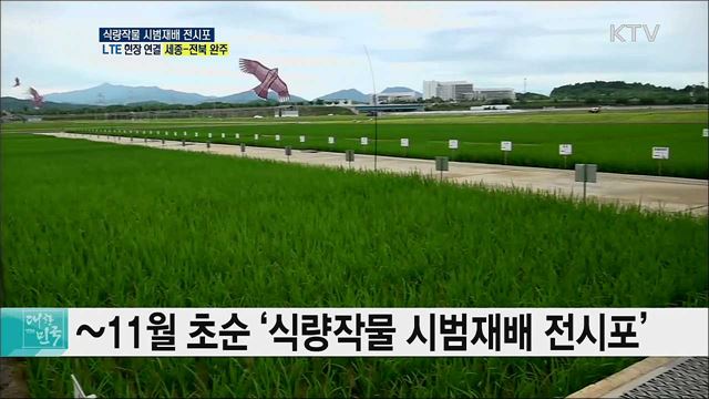 식량작물 품종을 한눈에, 식량작물 시범재배 전시포