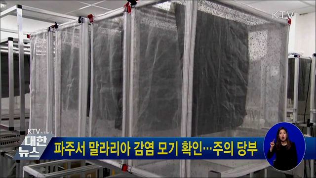 파주서 말라리아 감염 모기 확인···주의 당부